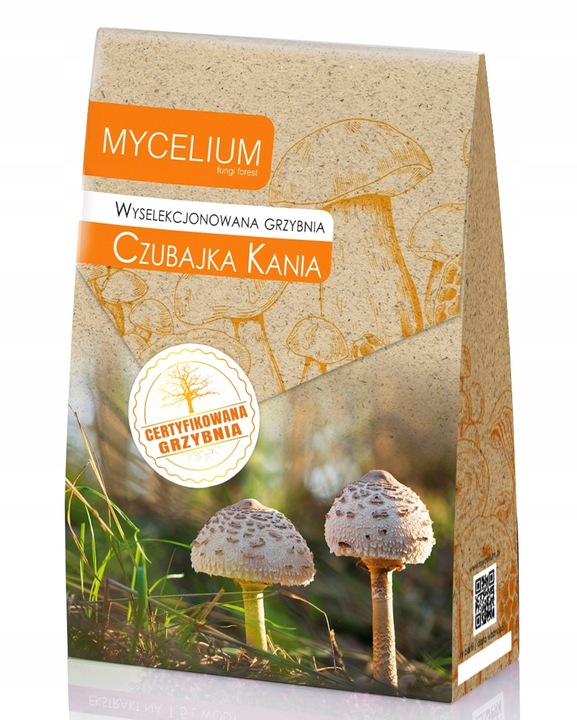 Grzybnia CZUBAJKA KANIA 120ml wyselekcjonowana