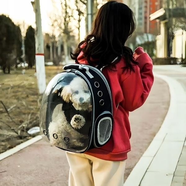 TRANSPORTER PLECAK TORBA PRZEZROCZYSTA DLA KOTA PSA ZWIERZĄT