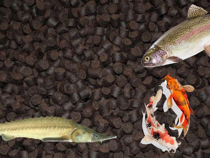 5kg 4,5mm Aller Bronze tonący karma pokarm pasza pstrąg karp worek