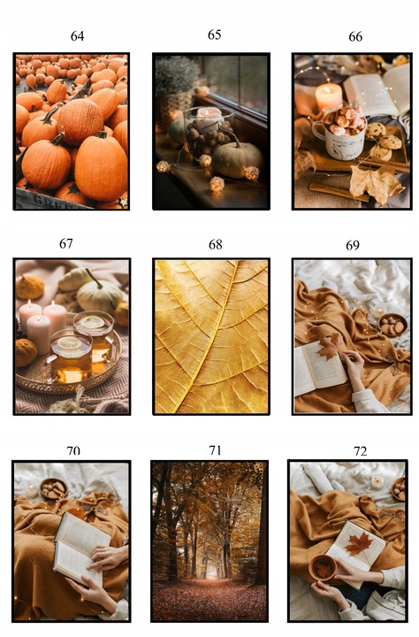 PLAKAT 40x50 JESIENNY poster DUŻO WZORÓW eviero do domu pejzaże na