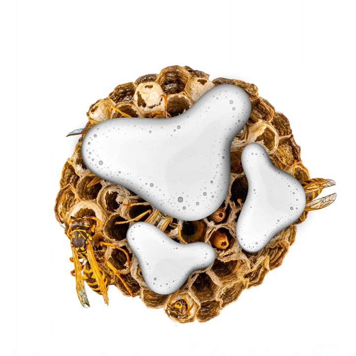 PIANA ŚRODEK PREPARAT NA OSY SZERSZENIE GNIAZDA OS SZERSZENI NO PEST