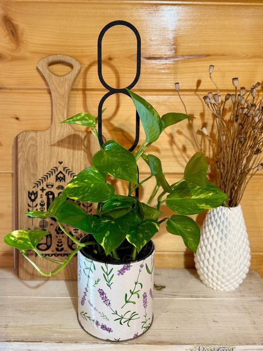 Podpora do Roślin Pnączy Podpórka Kwiatów Pnących Pergola Drabinka L