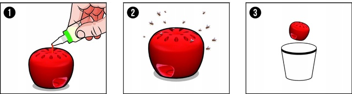 PUŁAPKA NA MUSZKI OWOCÓWKI Z WABIKIEM FRUIT FLY TRAP NO PEST NATURALNA