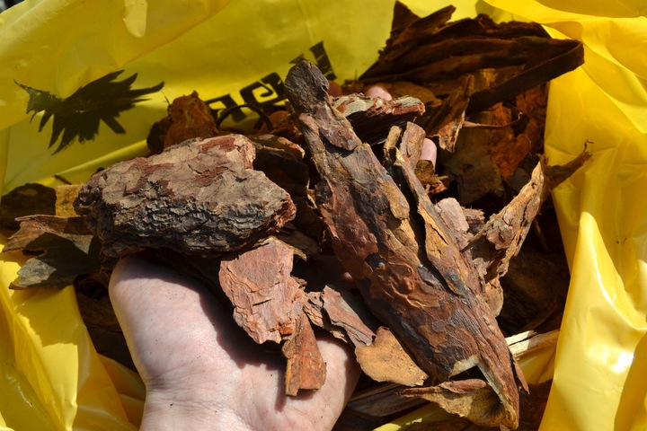 Kora sosnowa sortowana GRUBA 60 l przesiewana