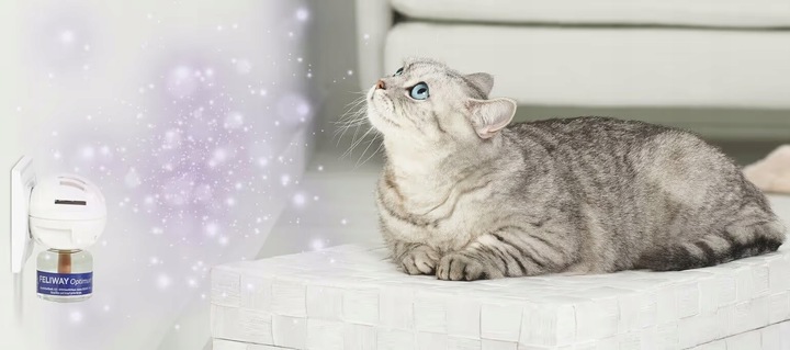 Feliway Optimum Feromony zestaw dyfuzor wkład 48ml