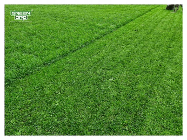 Nawóz do Trawnika Iglaków Tui Róż REGENERACYJNY 10kg CHISSO SAI SEI