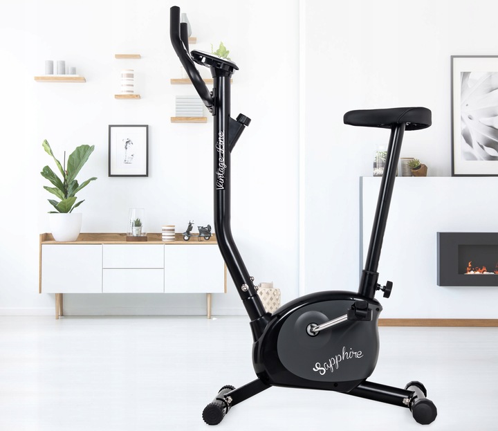 ROWER stacjonarny VINTAGE rowerek TRENINGOWY pionowy SAPPHIRE do