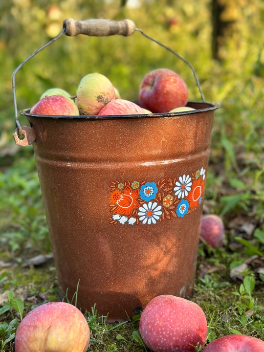 Sok jabłko malina tłoczony naturalny 100% 5L z maliną, malinowy dla