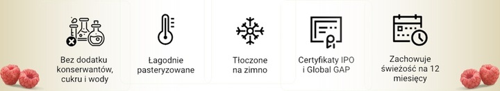 SOK Z GRANATU 100% 3L Tłoczony Z Granatów NATURALNY NFC Zdrowy BEZ CUKRU