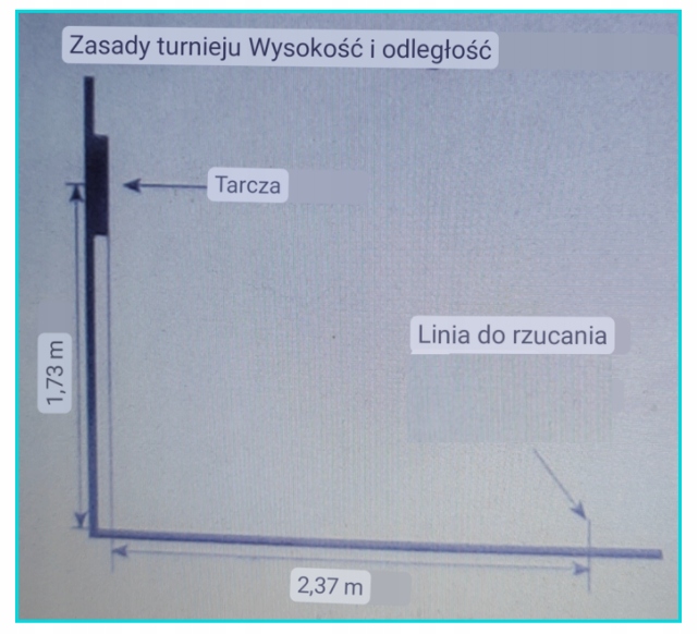 DART tarcza 43 cm lotki 6 szt gra Darts dwustronna