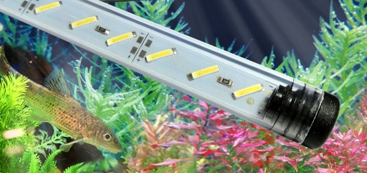 Świetlówka LED oświetlenie AKWARIUM 8520 50cm