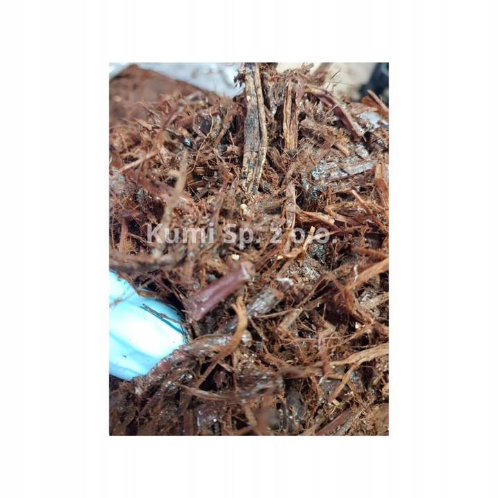 GRZYBNIA PIECZARKI BIAŁEJ BALOT 20KG ZESTAW 3FAZA + TORF 9KG +