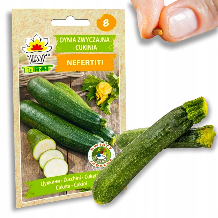 Nasiona warzyw marchew ogórek pietruszka burak NA DOBRY START UDANE PLONY