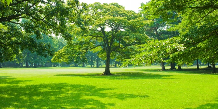 Trawa samozagęszczająca UNIWERSALNA BARENBRUG RPR Lawn 5kg SPORTOWA OTOCZKA