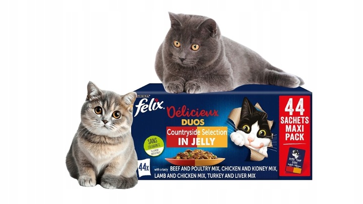 FELIX FANTASITC 44x85G DUOS DUO Podwójny smak | z NIEMIEC