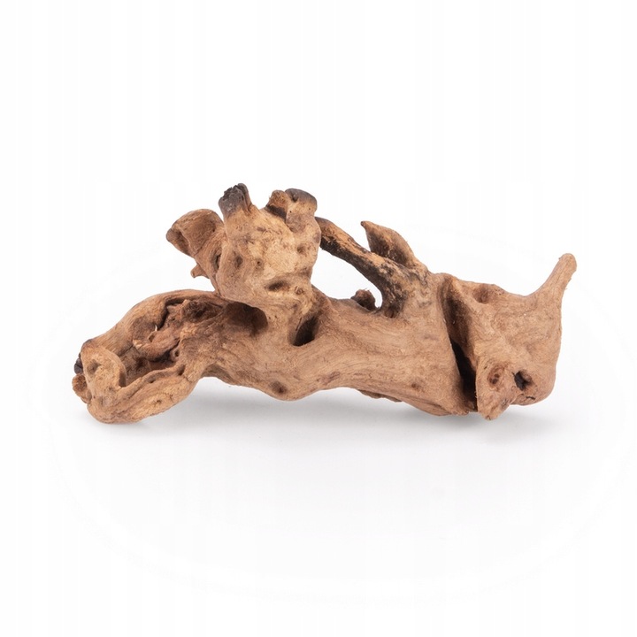 NATURALNY KORZEŃ DO AKWARIUM DESERT ROZMIAR M 20CM