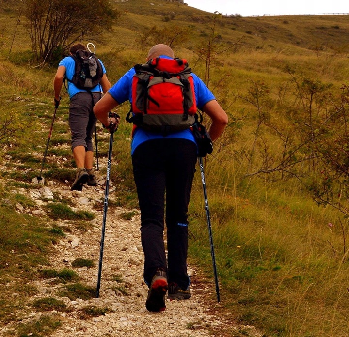 Kijki NORDIC WALKING trekkingowe 2szt ZESTAW REGULOWANE POKROWIEC KOŃCÓWKI