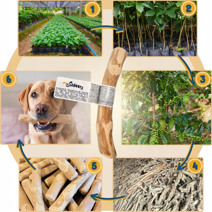 PATYK Z DRZEWA KAWOWEGO S NATURALNY KAWOWY GRYZAK DLA PSA WYTRZYMAŁY MAŁY