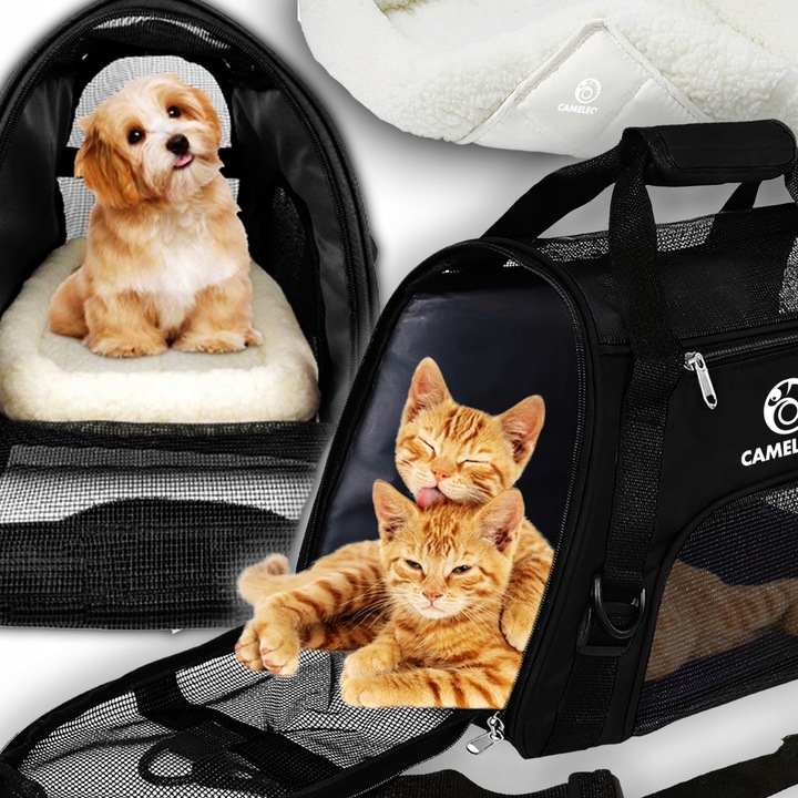 SOLIDNY Transporter dla Kota Psa Zwierząt Torba Podróżna MIĘKKA MATA GRATIS