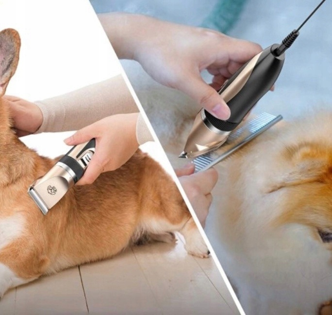 MASZYNKA DO STRZYŻENIA PSA PSÓW KOTÓW ZWIERZĄT GOLARKA ZESTAW CICHA 12W1