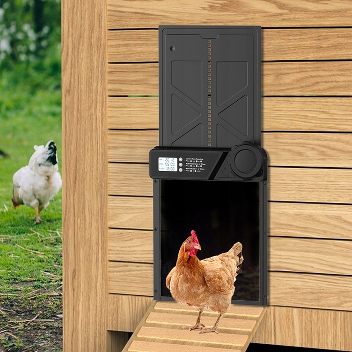 Automatyczne Drzwi Do Kurnika Z Timerem Blokada Przytrzaśnięcia Wodoodporne