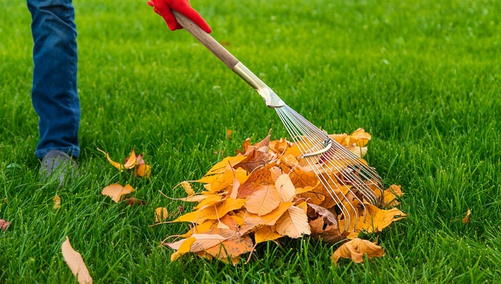 Yara Mila Nawóz jesienny do Trawy Trawnika Ogrodu na mech PRO.