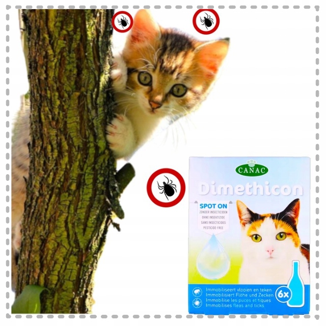 PREPARAT PRZECIW PCHŁOM I KLESZCZOM DLA KOTÓW NA KROPLE PCHŁY I KLESZCZE