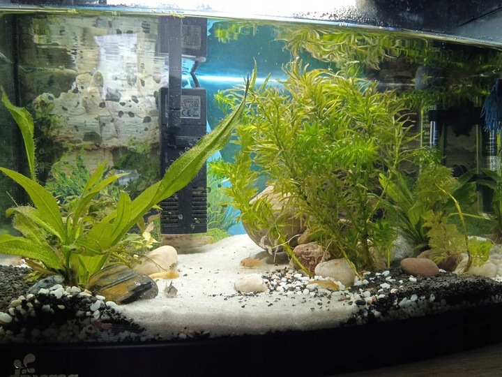 Naturalnie Biały Piasek Kwarcowy do Akwarium 0,5-1mm 24kg