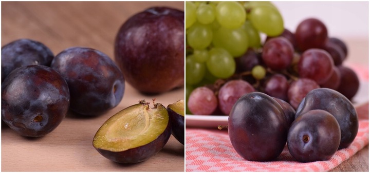 Śliwa WĘGIERKA ZWYKŁA SAMOPYLNA idealny SMAK