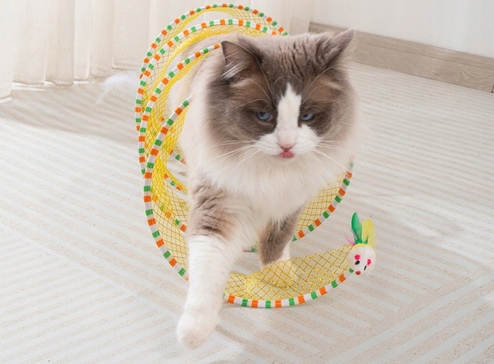 TUNEL DLA KOTA ZABAWKA SPRĘŻYNKA MYSZKA PIÓRKA 2w1