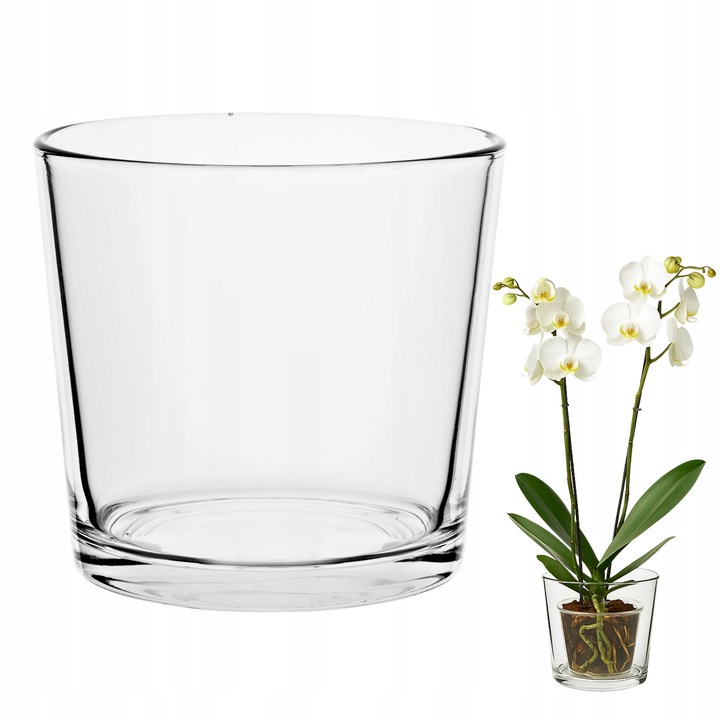 OSŁONKA SZKLANA Na STORCZYK Rośliny Doniczkę Przezroczysta H 16 cm