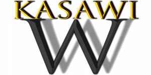 Majtki Damskie Bawełniane Koronkowe Wysoki Stan Wygodne Kobiece 4-PAK XL