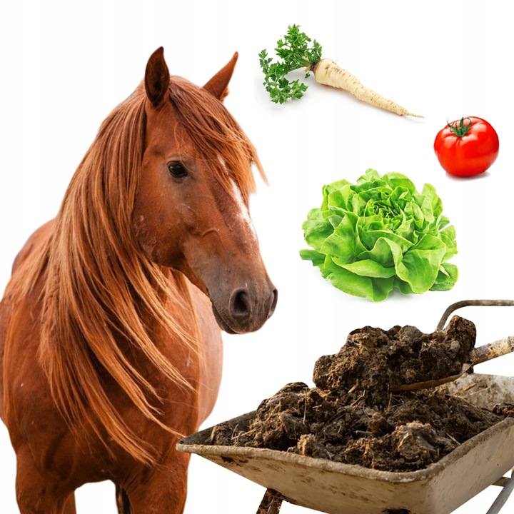 PRAWDZIWY OBORNIK KOŃSKI NIEGRANULOWANY NAJLEPSZY JESIENNY NAWÓZ WOREK