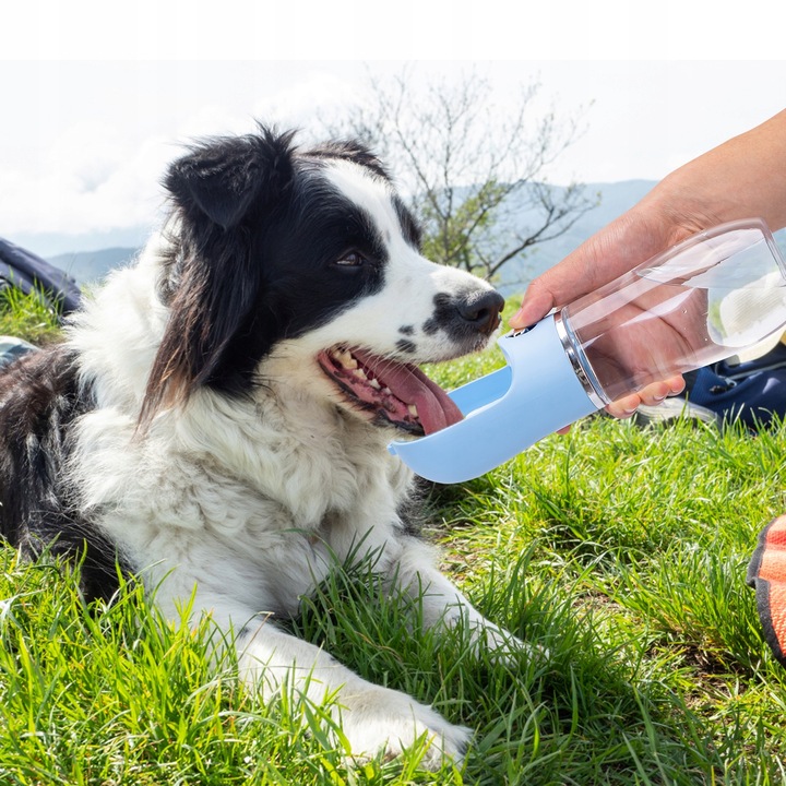 Poidło dla psa Bidon z miską na Wodę 500ml