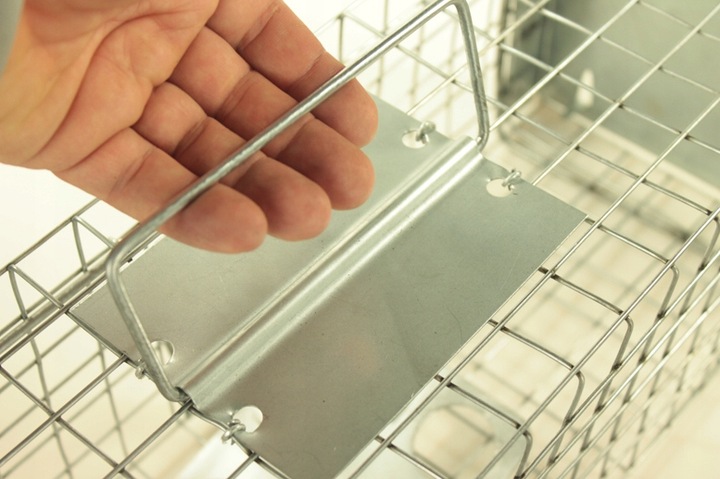 żywołapka pułapka na szczury gryzonie duża łapka