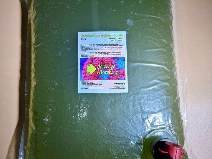 Fitoplankton zielony morski 5 L worek z kranem