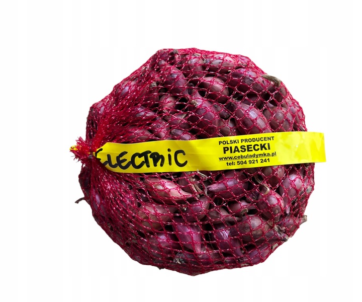 Zimowy zestaw do sadzenia cebula dymka - 2x500g