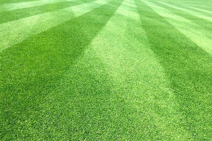 Saletrzak 25kg Nawóz azotowy na trawnik warzywa