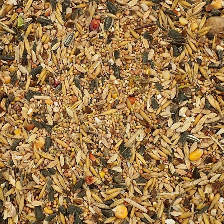 20kg Uniwersalna Karma dla Ptaków Ziarno Pokarm Zimowy Karmnik Champi