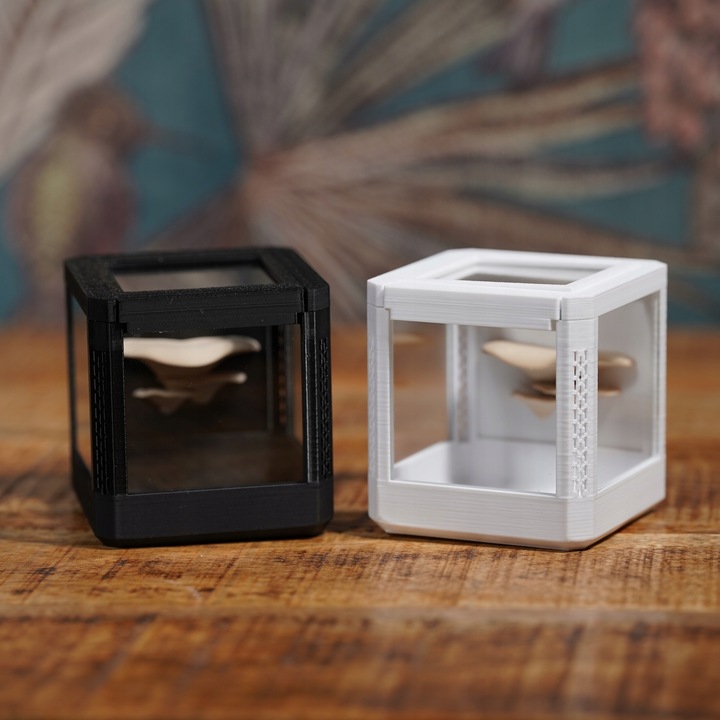 Terrarium szklane -6,5 x 6,5 x 6,5 dla pająka, modliszki, skakuna