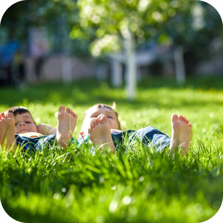 NAWÓZ DO TRAWY COMPLEX 25 KG TRAWNIKA TRAWNIKÓW ROSAFERT NPK 12-12-17