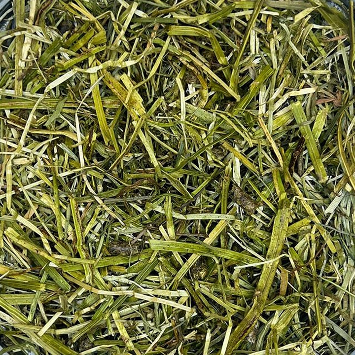 Pełnowartościowa Sieczka z Lucerny Pasza Dla Koni FDS ALFA COMPLETE 15kg