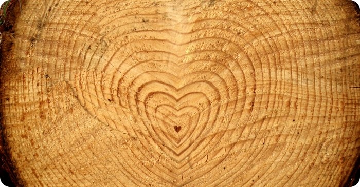 KUPRAFUNG P impregnat do drewna BRĄZOWY 1:13=130L