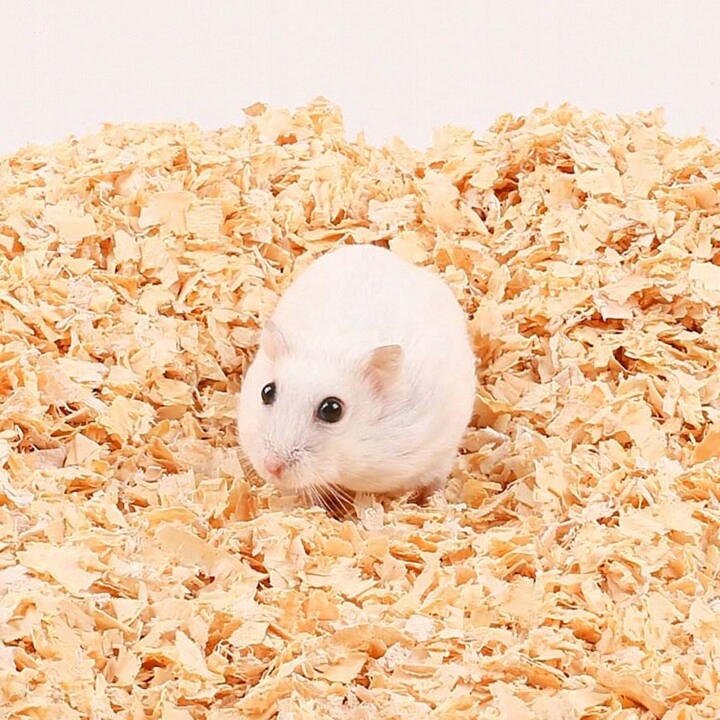 TROCINY ODPYLONE 200L 9KG WIÓRKI DLA GRYZONI CHOMIKA ŚWINKI KONI KRÓLIKÓW