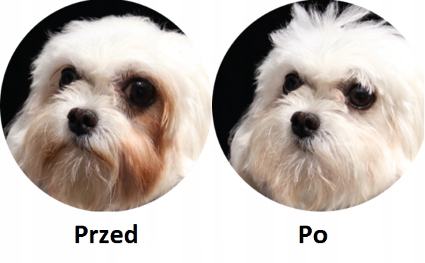 Karma Nature’s Protection dla maltańczyków 1,5 kg STOP ZACIEKOM