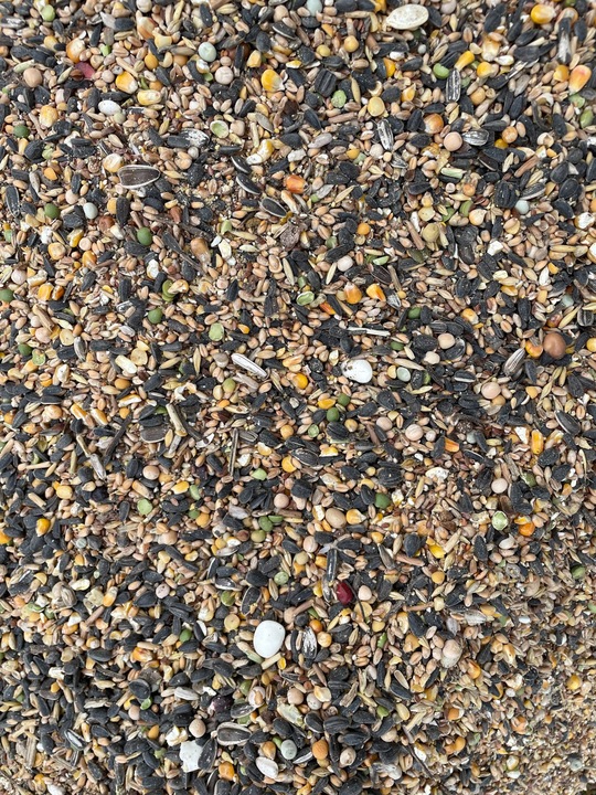 KARMA DLA PTAKÓW 20kg POKARM DROBNE ZIARNO DO KARMNIKA PTASI PRZYSMAK