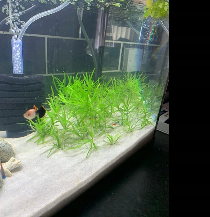 16kg Biały Piasek Kwarcowy do Akwarium 0,5-1mm