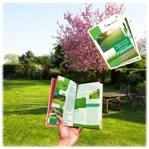 TRAWA UNIWERSALNA 10KG SAMOZAGĘSZCZAJĄCA ODPORNA NA DEPTANIE NASIONA 400m