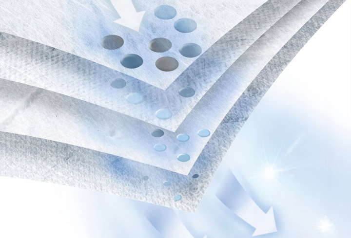 Oryginalne Worki do odkurzaczy BOSCH BBZWD4BAG do AquaWash&Clean