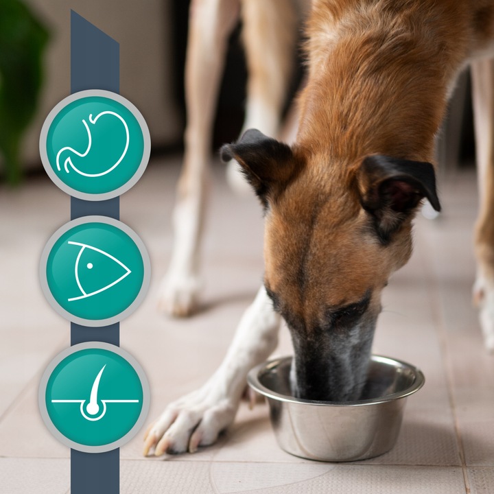 Sucha karma dla psów z alergią Vet Expert Hypoallergenic Ultra z rybą